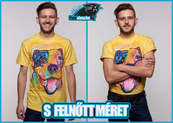 S felnőtt méretű Mountain póló