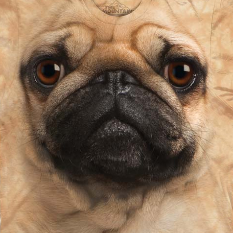 Mopsz pólók