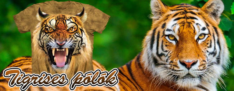 Tigrises pólók